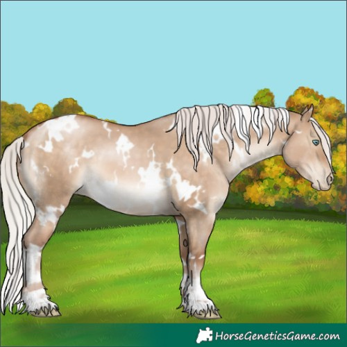 Horse Color:White Spotted Silver Brown Pearl Dun 