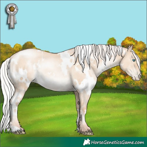 Horse Color:White Spotted Silver Sable Champagne Pearl Dun Rabicano 