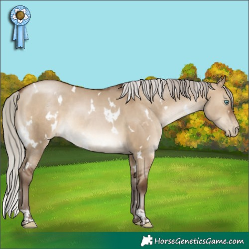 Horse Color:Gray White Spotted Silver Brown Pearl Dun 