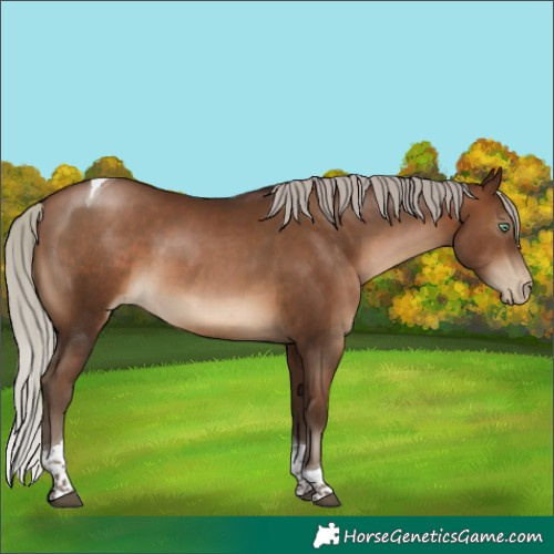 Horse Color:Gray Silver Brown Pearl Tobiano 