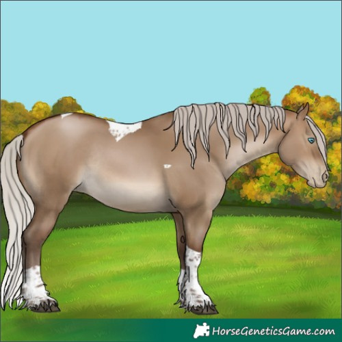 Horse Color:Gray Silver Brown Pearl Dun Tobiano Rabicano 