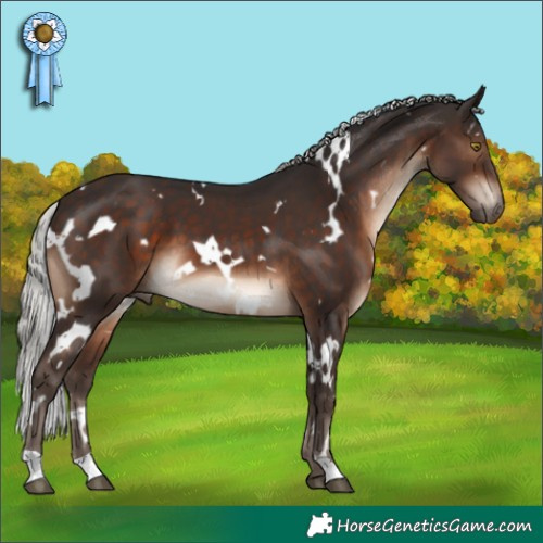 Horse Color:White Spotted Silver Brown 