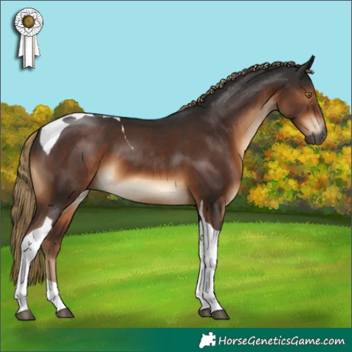 Horse Color:Gray Liver Chestnut Tobiano 