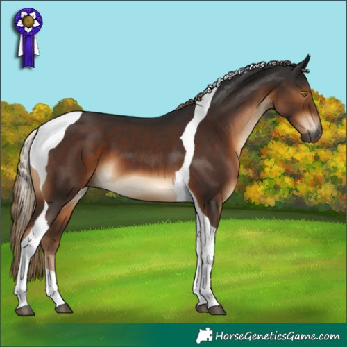 Horse Color:Gray Liver Chestnut Tobiano 