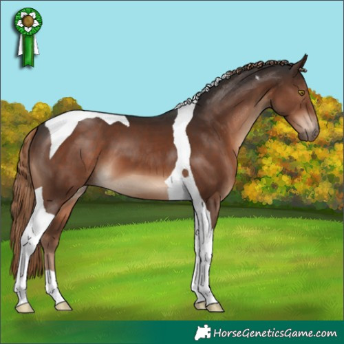 Horse Color:Liver Chestnut Tobiano 