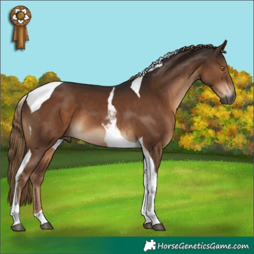 Horse Color:Gray Liver Chestnut Tobiano 