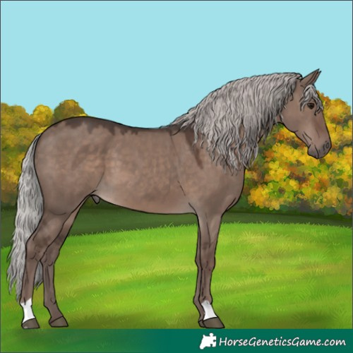 Horse Color:Silver Grullo Mushroom