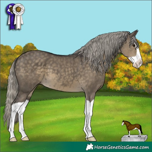Horse Color:Silver Smoky Grullo Mushroom Splash