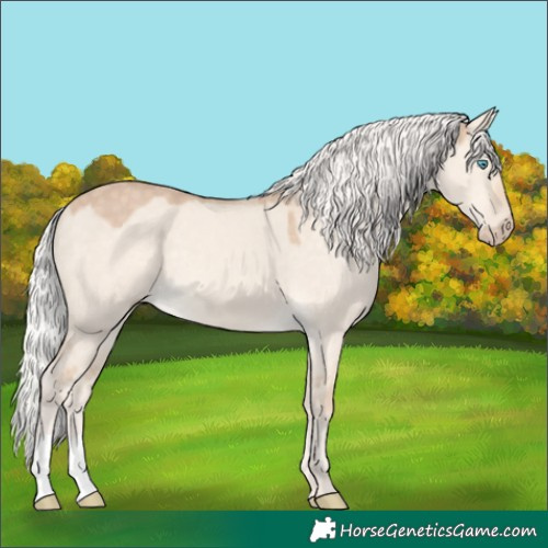 Horse Color:Silver Perlino Dun Mushroom 