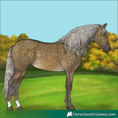 Horse Color:Silver Buckskin Dun Mushroom 