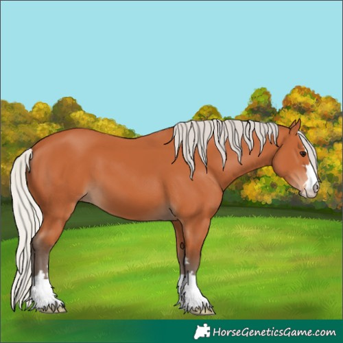 Horse Color:Silver Bay