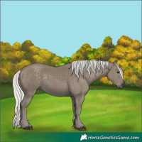 Horse Color:Silver Smoky Black 