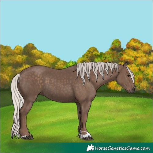 Horse Color:Silver Black 
