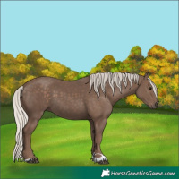 Horse Color:Silver Black 