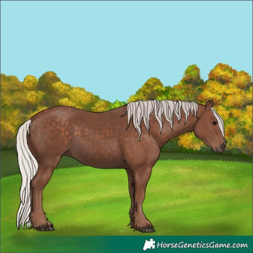 Horse Color:Silver Black 