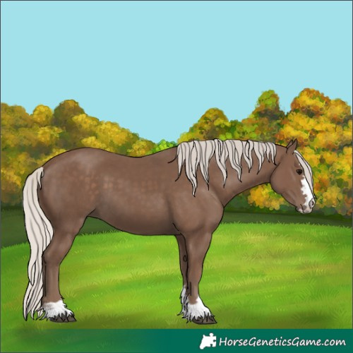 Horse Color:Silver Black 