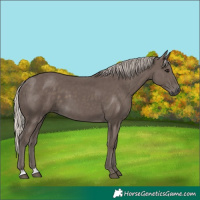 Horse Color:Silver Black