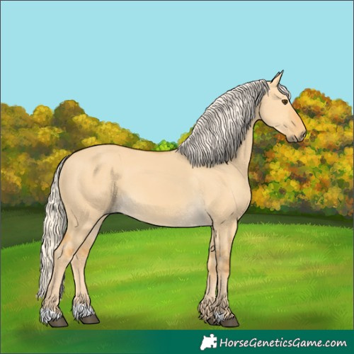 Horse Color:Palomino Dun 