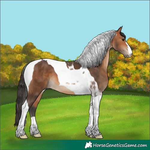 Horse Color:Bay Tobiano 