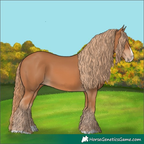 Horse Color:Chestnut Splash Frame
