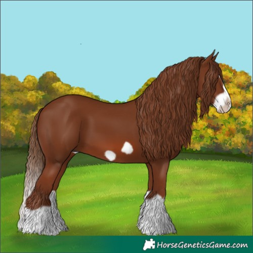 Horse Color:Chestnut Splash Frame 
