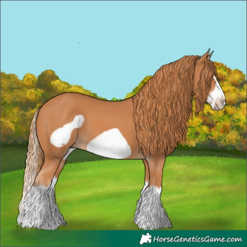 Horse Color:Chestnut Splash Frame 