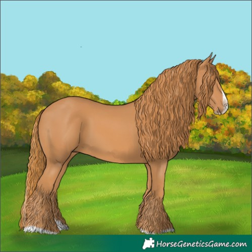 Horse Color:Chestnut Splash Frame 