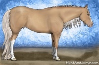Horse Color:Silver Classic Champagne