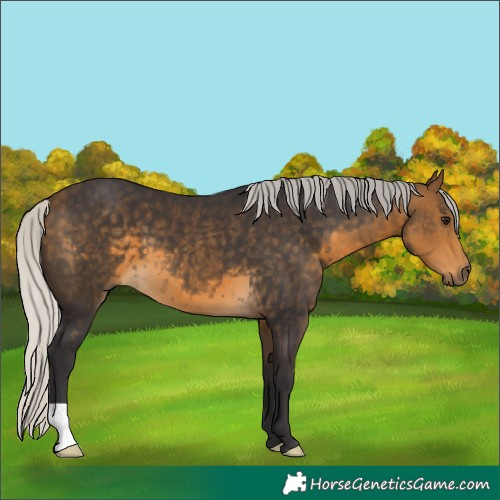 Horse Color:Silver Buckskin 