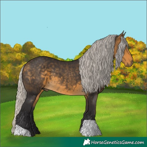 Horse Color:Silver Buckskin 