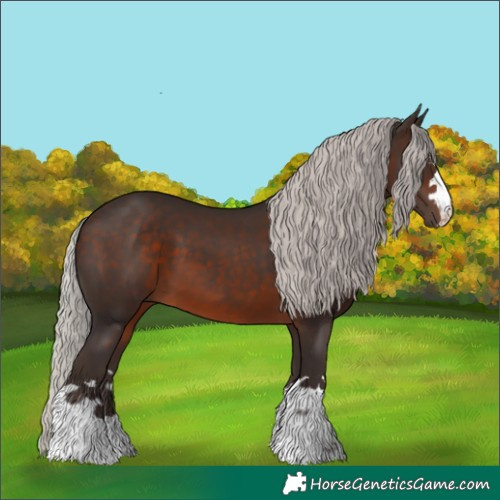 Horse Color:Silver Brown 