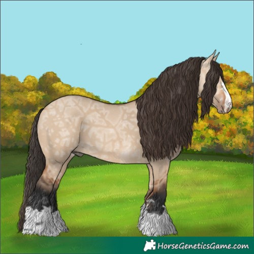 Horse Color:Bay Ice Dun 