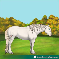 Horse Color:Perlino Dun