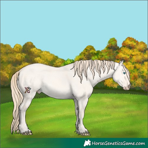 Horse Color:Perlino Dun