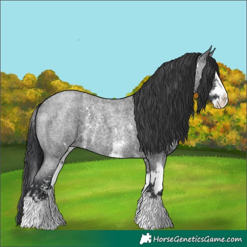 Horse Color:Blue Roan Sabino Splash and Blue Roan Sabino Splash