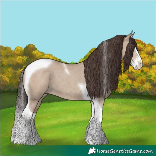 Horse Color:Classic Champagne Dun Splash Tobiano 