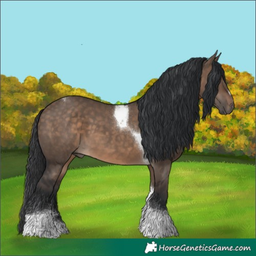 Horse Color:Brown Dun Tobiano 