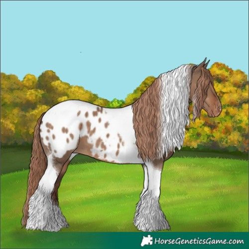Horse Color:Liver Red Dun Tobiano Blanket 