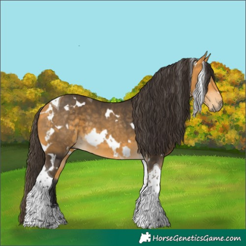 Horse Color:White Spotted Buckskin Tobiano