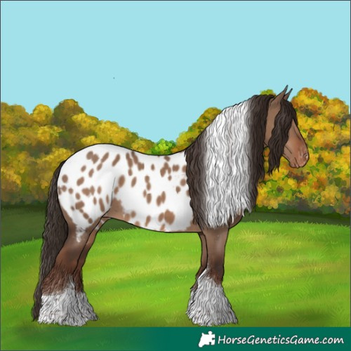 Horse Color:Liver Red Dun Tobiano Near Leopard 