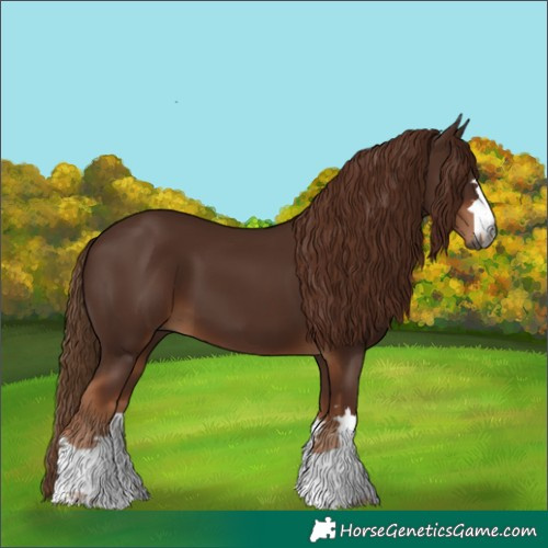 Horse Color:Gray Chestnut 