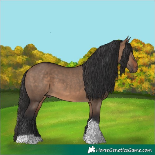 Horse Color:Brown Dun Tobiano 