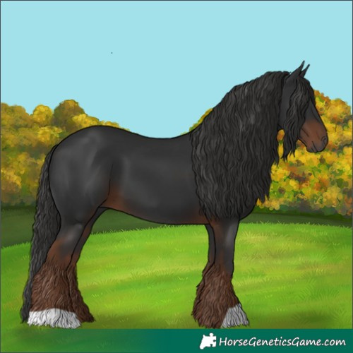 Horse Color:Gray Liver Chestnut 