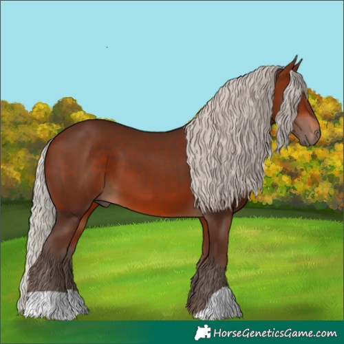Horse Color:Silver Bay 