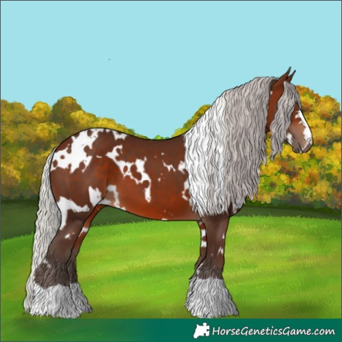 Horse Color:White Spotted Silver Brown 