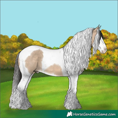 Horse Color:Bay Dun Splash Tobiano 