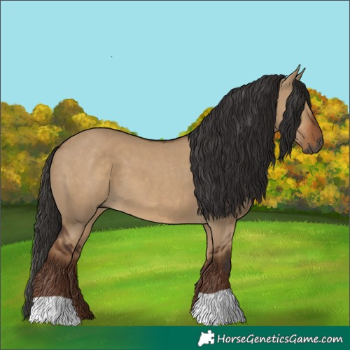 Horse Color:Gray Liver Red Dun 