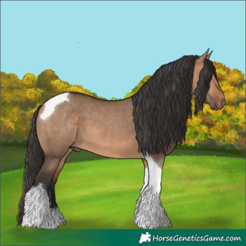 Horse Color:Bay Dun Tobiano 