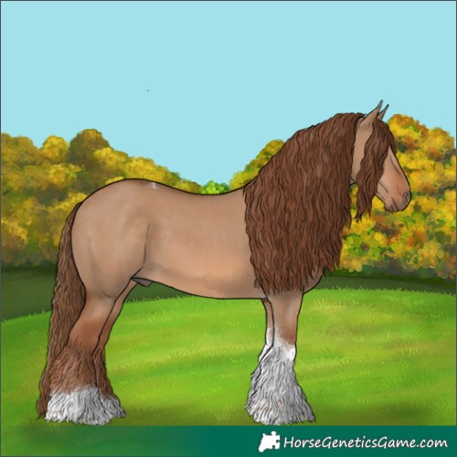 Horse Color:Red Dun Tobiano