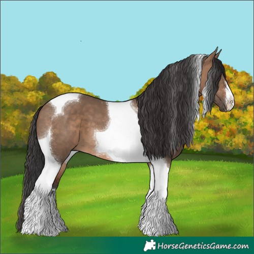 Horse Color:Brown Dun Tobiano 